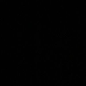 Meet your Posher, Rhyshanae